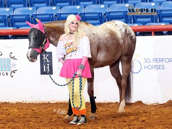 Around the Rings – 2025 Appaloosa World Show