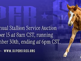 Super Sires Stallion Service Auction – Round 1 Ends TODAY!