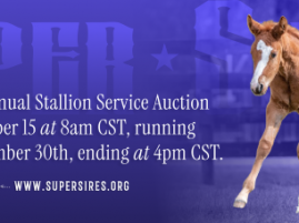 Super Sires Stallion Service Auction