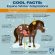 Winter Tips For Your Horse — Straight from the DVM