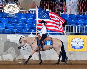 2025 ABRA Honor Roll Winners