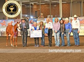 Exciting Mare Power News from 2026 Breeders Halter Futurity