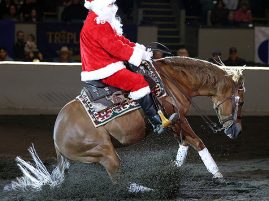 ELEVATE YOUR EQUESTRIAN EXPERIENCE IN 2026: Tickets for Equine Affaire in Ohio go on sale Wed, Dec. 3!