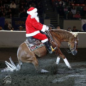 ELEVATE YOUR EQUESTRIAN EXPERIENCE IN 2026: Tickets for Equine Affaire in Ohio go on sale Wed, Dec. 3!