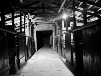 If These Walls Could Talk – an EC Blog by Marissa Ledford