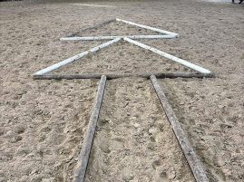 Trim the Tree Trail Grid from Judge Jennifer Sawyer