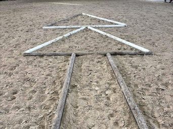 Trim the Tree Trail Grid from Judge Jennifer Sawyer