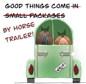 Free Christmas Coloring Page from Dana’s Doodles