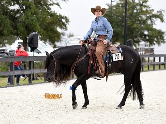 More Around the Rings – 2025 Florida Gold Coast & Florida PHC Ugly Sweater Extravaganza