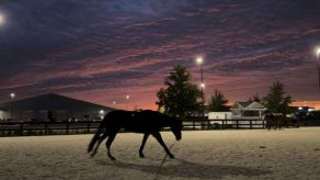 EC Photo of the Day — The Promise of a New Year