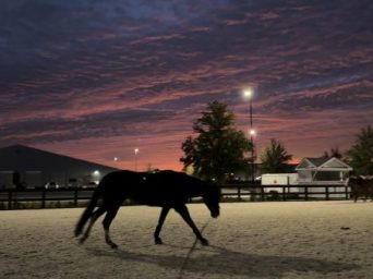 EC Photo of the Day — The Promise of a New Year