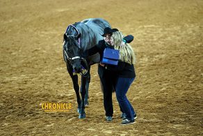 EC Photo of the Day — Friendship Prevails