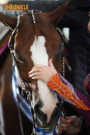 EC Photo of the Day:  2026 is the Year of the Horse