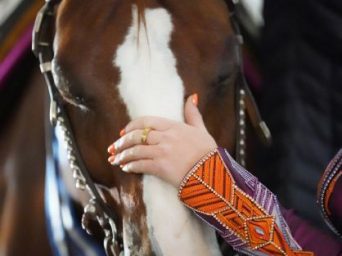 EC Photo of the Day:  2026 is the Year of the Horse