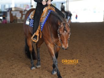 Pattern Practice Ahead of the Horse Show