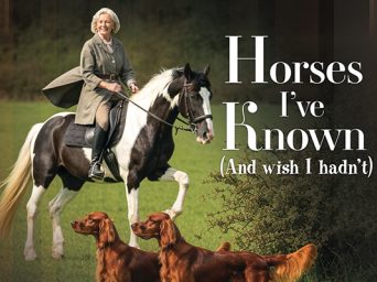 Horses I’ve Known (And Wish I Hadn’t)
