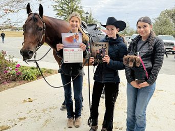 Around the Rings – Results from 2025 Gold & 2026 Gulf Coast Circuits