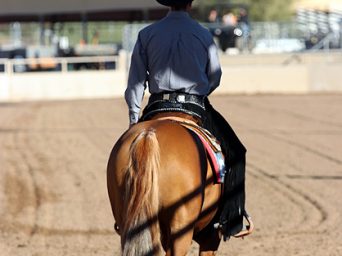 EC Photo of the Day:  New Year’s Eve 2025