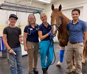 Injured Roping Horse Returns to Competition After Extensive Hospitalization and Rehabilitation