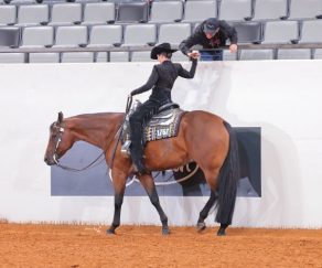 EC Photo of the Day — A Picture Worth a Thousand Words