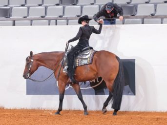 EC Photo of the Day — A Picture Worth a Thousand Words