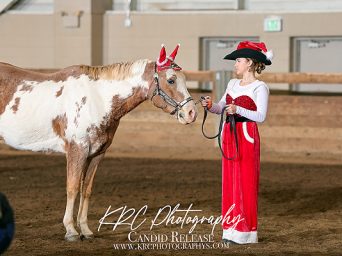 Around the Rings — 2025 Holiday ShoDown by ShoMe Horse Shows