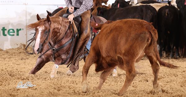 Minkish wins 2025 NCHA Futurity Crown & Chrome Cash Honors