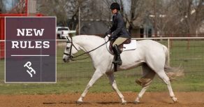 18 New APHA Rules in Effect January 1, 2026