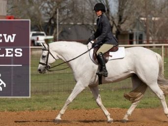 18 New APHA Rules in Effect January 1, 2026