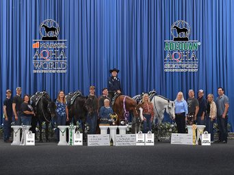 Taking Passion for Horses to New Heights: One on One with Charlie Cole of Highpoint Performance Horses