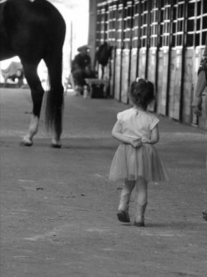 EC Photo of the Day — Great Imitators