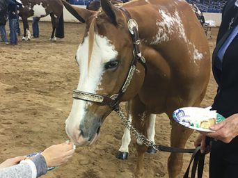 Happy New Year 2026!  A New Year’s Show Story by Publisher Tom Grabe.