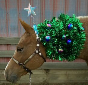 EC Christmas Photo of the Day – A Decade of Holiday Cheer