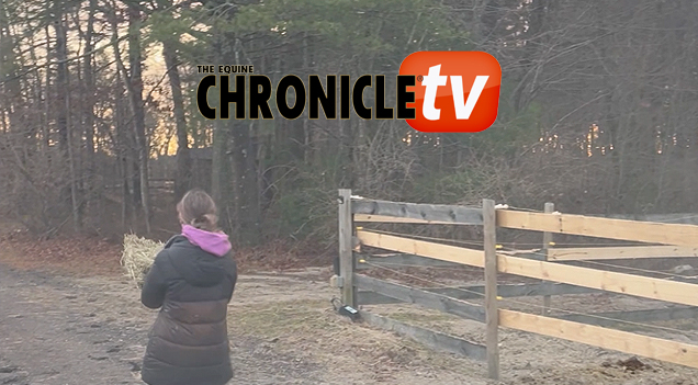 EC Video of the Day – It’s Always Time for Showmanship Practice