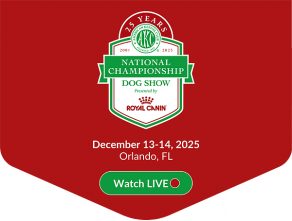 2025 AKC National Championship in Orlando