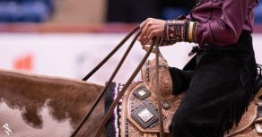 43 Rule Change Proposals for 2026 APHA Leadership Gathering Consideration