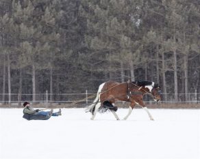 EC Photo of the Day: When Life Gives You Snow