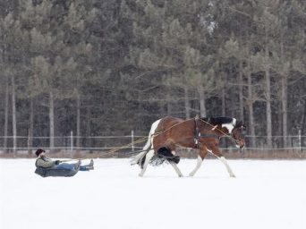 EC Photo of the Day: When Life Gives You Snow
