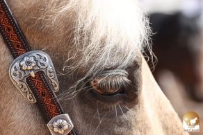 The Run For A Million Non Pro Challenge Added Money Increases to $125,000 in 2026