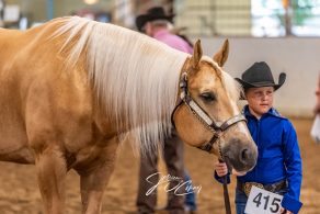 Now Through April 30: Discounted PHBA Horse Registration Rates