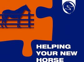 Helping Your New Horse Fit In
