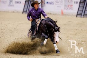 Everything You Need to Know about The Qualifier