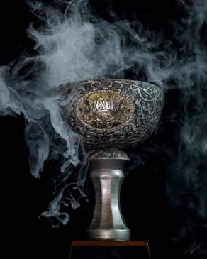 A Year’s Worth of Excellence – 2025 NSBA Year End High Point Awards Now Official