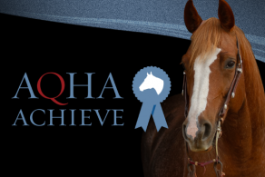 AQHYA Releases AQHA Achieve, A Virtual Knowledge Contest for Youth