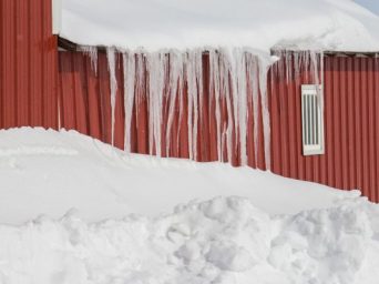 Commissioner Sid Miller Activates TDA Relief Efforts for Producers Impacted by Winter Storm Fern