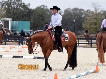 Around the Rings — 2026 Florida Gulf Coast