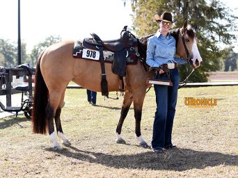 More Around the Rings — 2026 Florida Gulf Coast