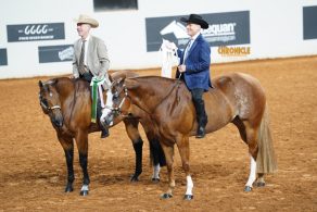 AQHA Announces 2026 Dates