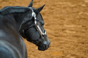 EC Photo of the Day: It is Impossible