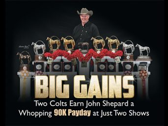 Big Gains: Two Colts Earn John Shepard A Whopping 90K Payday At Just Two Shows